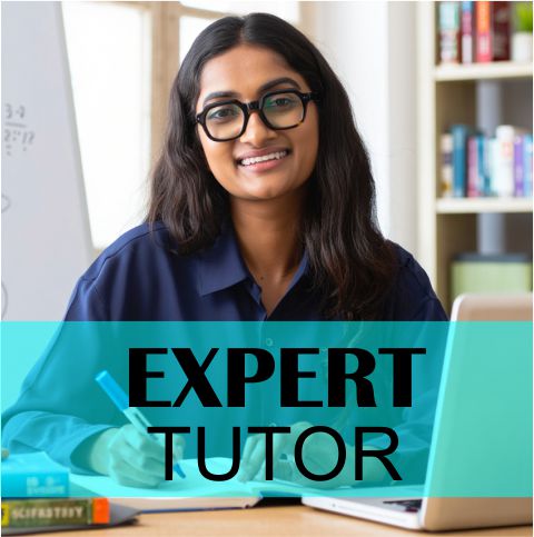 Small size image showcasing a lady tutor taking home tuition for Class 4